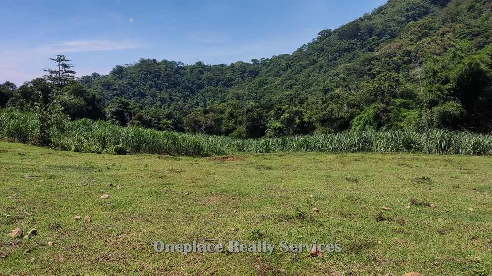 Agricultural Land for sale Lian Batangas